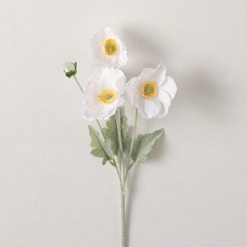 Poppy Stem CR