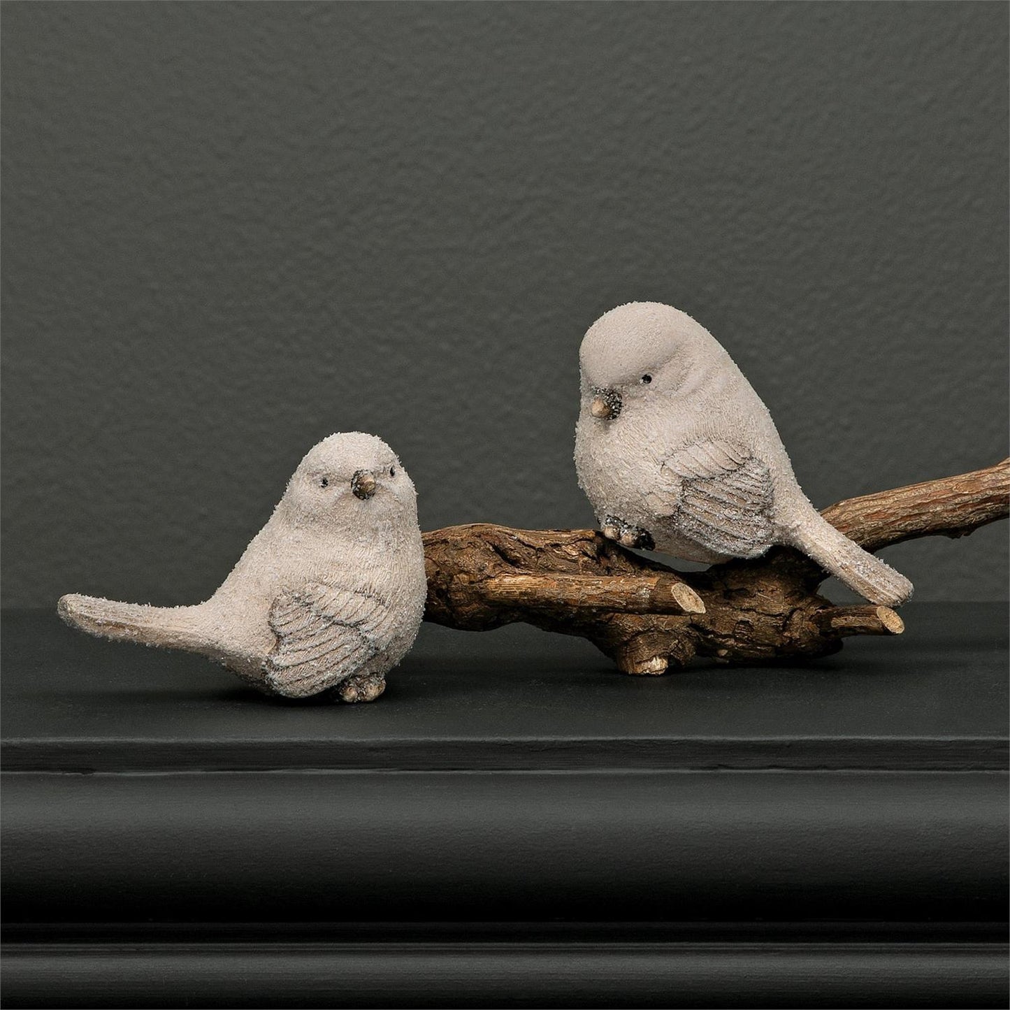 Bird Mrvc / Looking forward