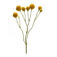Pod Spray 20"