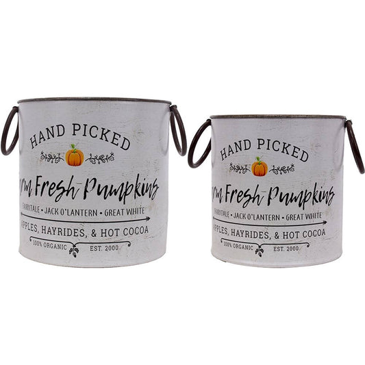 Farm Fresh Pumpkin Bucket 7.8"