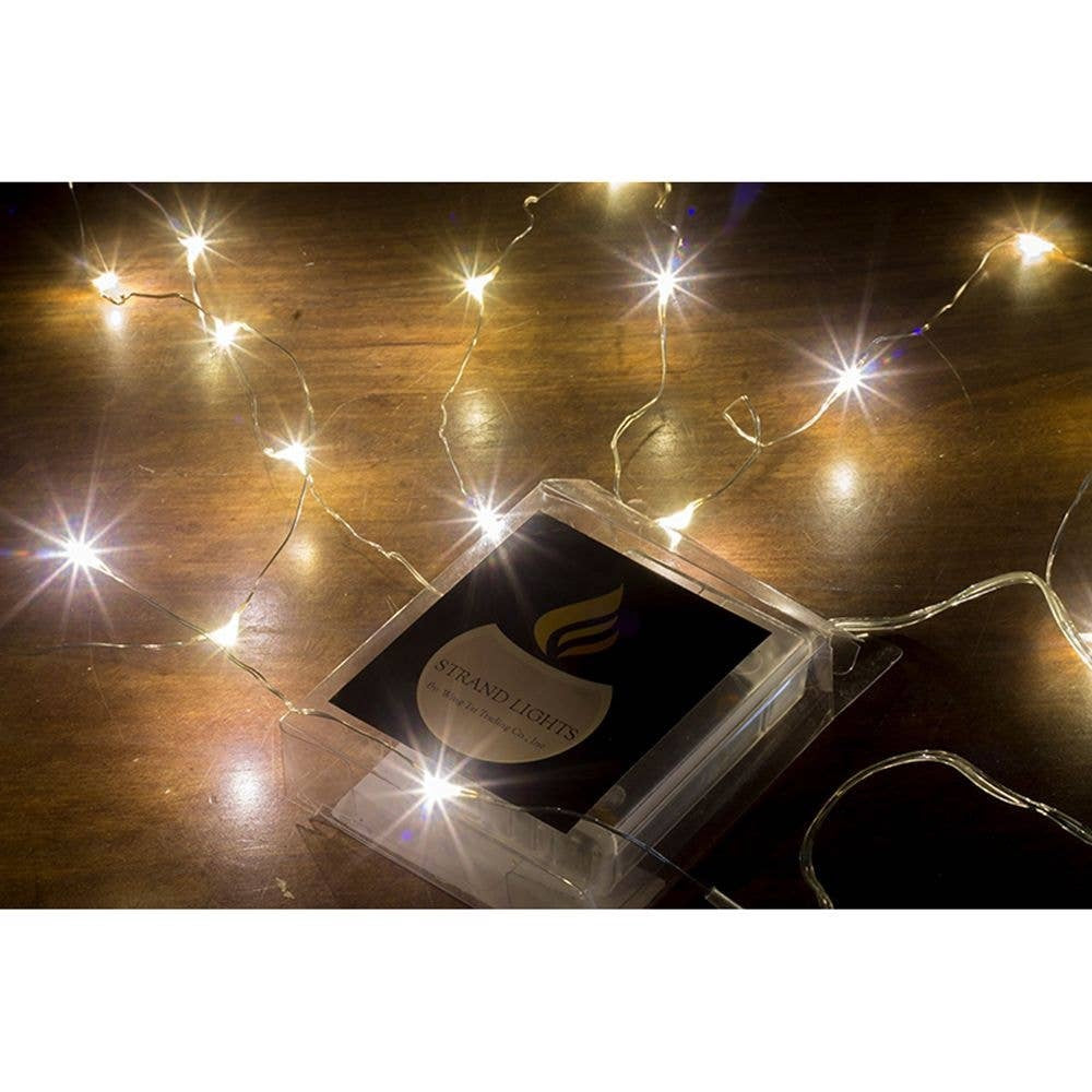 20 Ct Warm White Strand Light