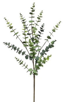 Eucalyptus Spray 36.75H