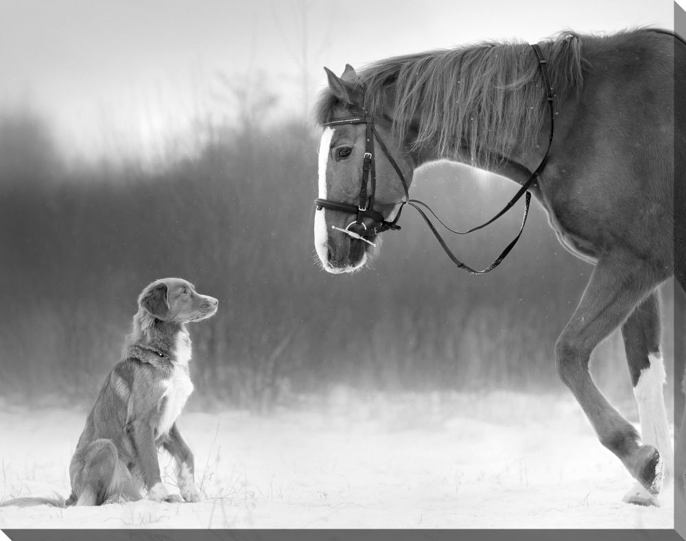 Horse & Retriever 22x28