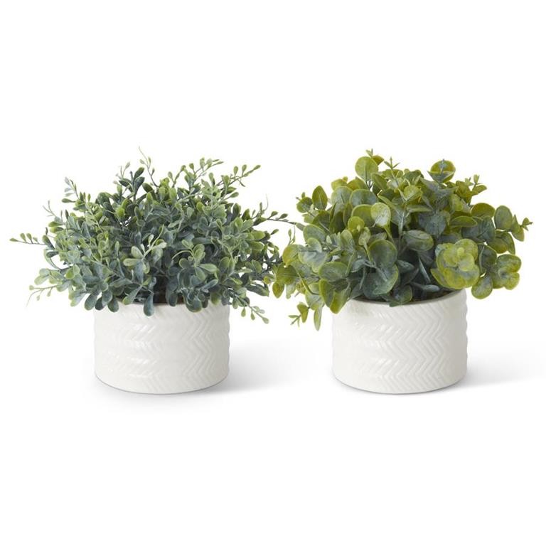 7.25" Eucalyptus Ribbed White Ceramic