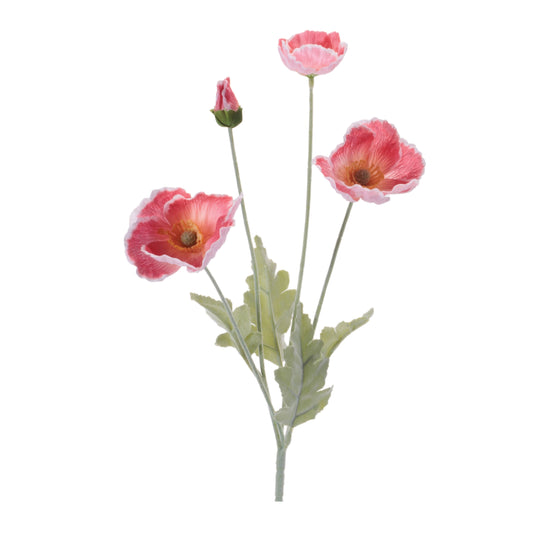 Pink Poppy Spray 25"