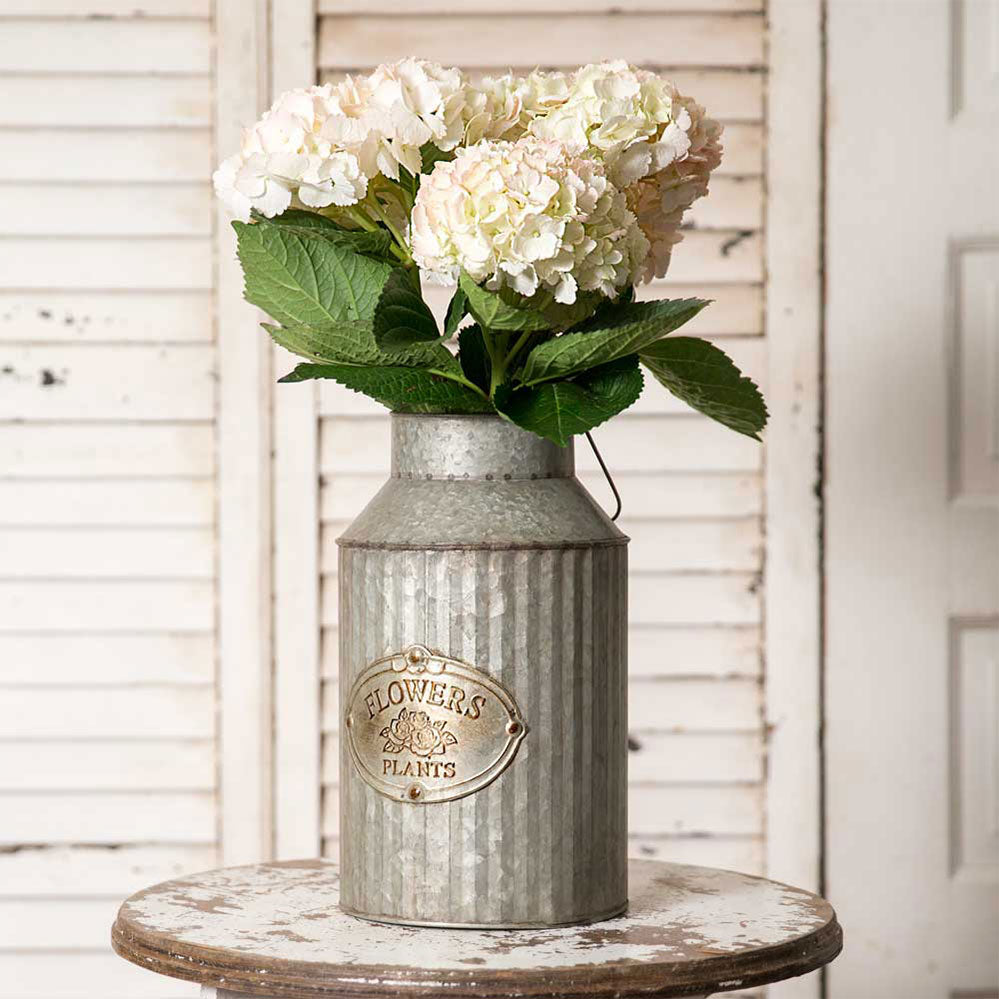 Flowers and Plants Can