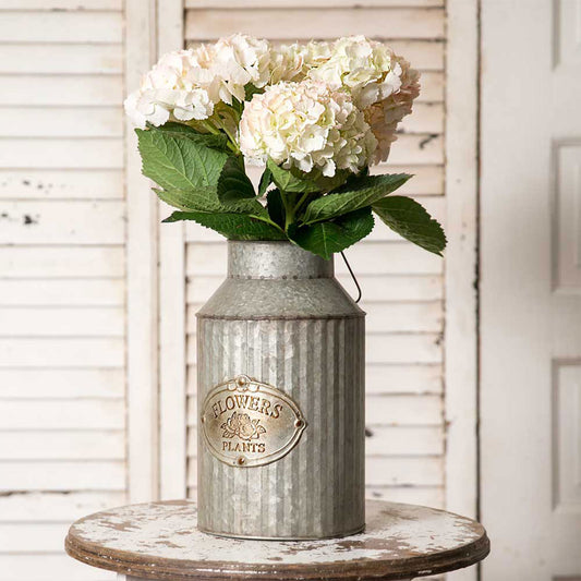 Flowers and Plants Can