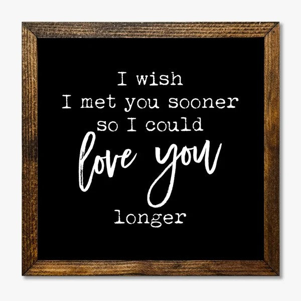I Wish I Met You Sooner 9x9