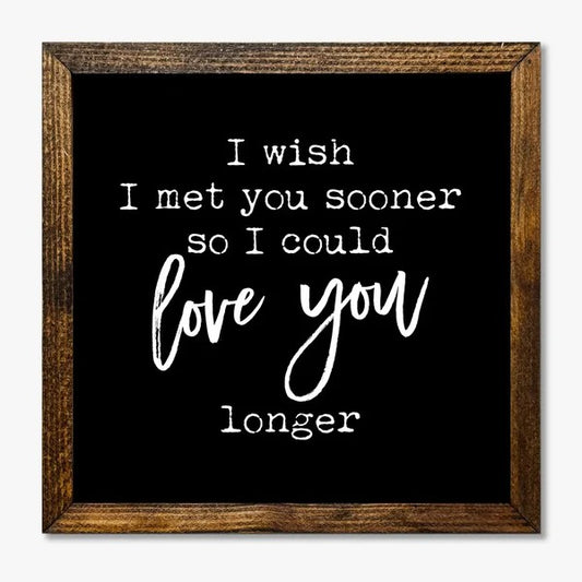 I Wish I Met You Sooner 9x9