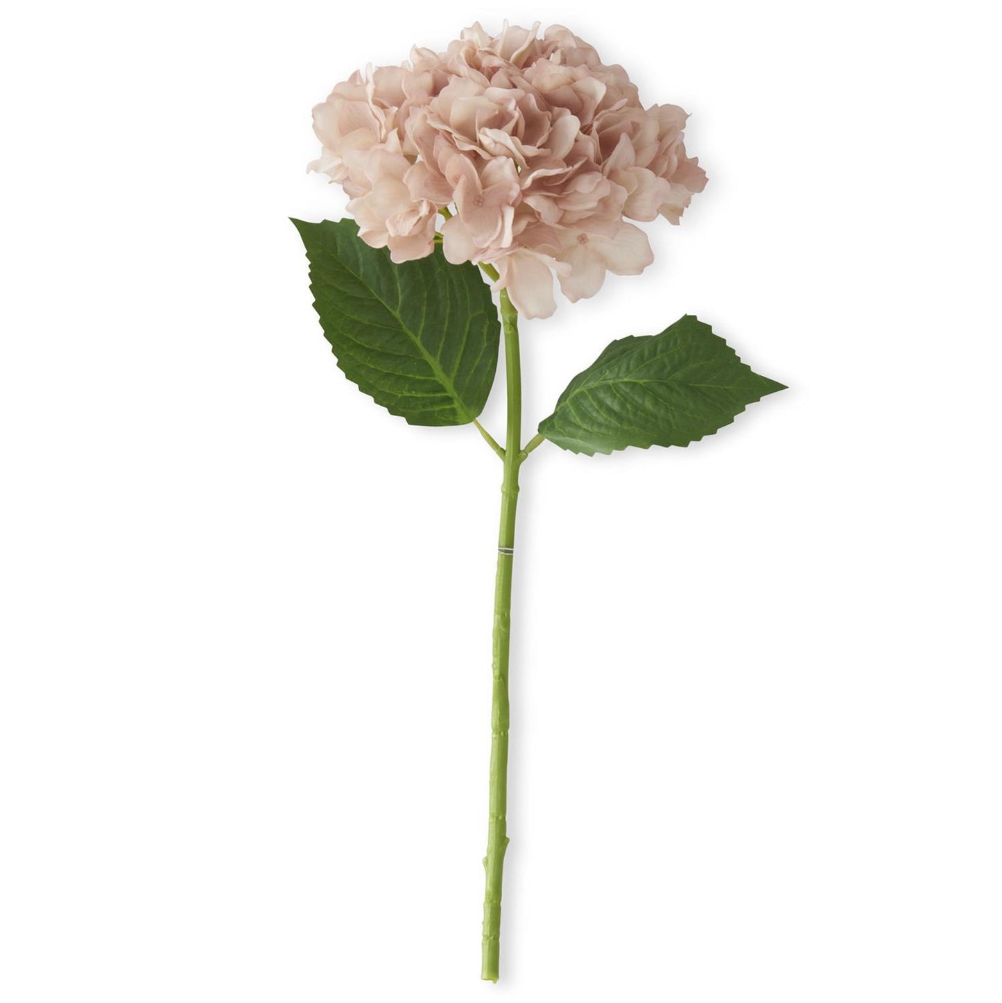 20" Light Peach Real Touch Hydrangea Spray