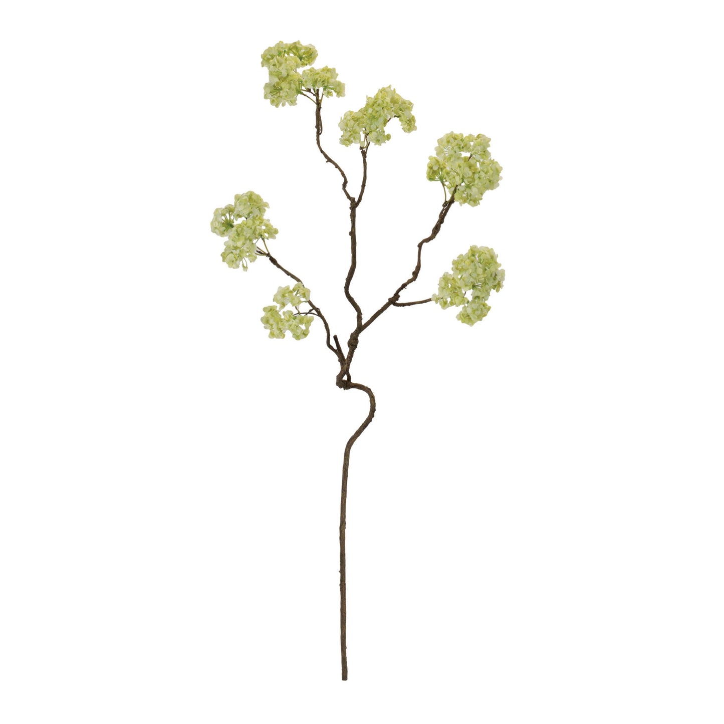 Floral Stem 27.5" Pol