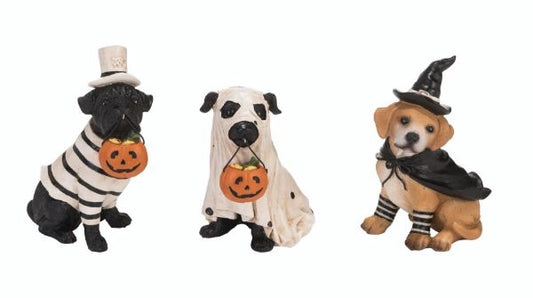 Res Halloween Pup / Pup in witch costume