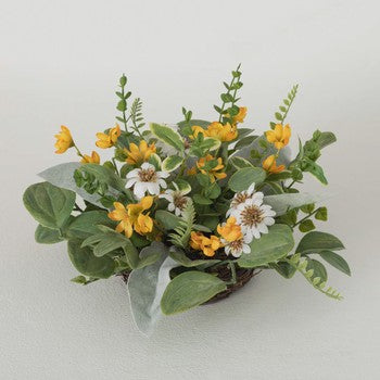 Daisy Mixed Foliage Orb