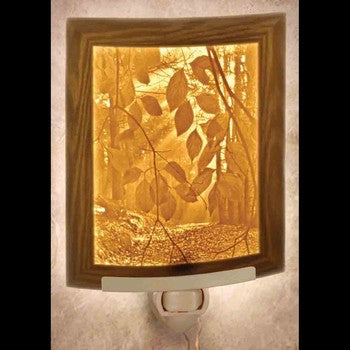 Secret Path Night Light