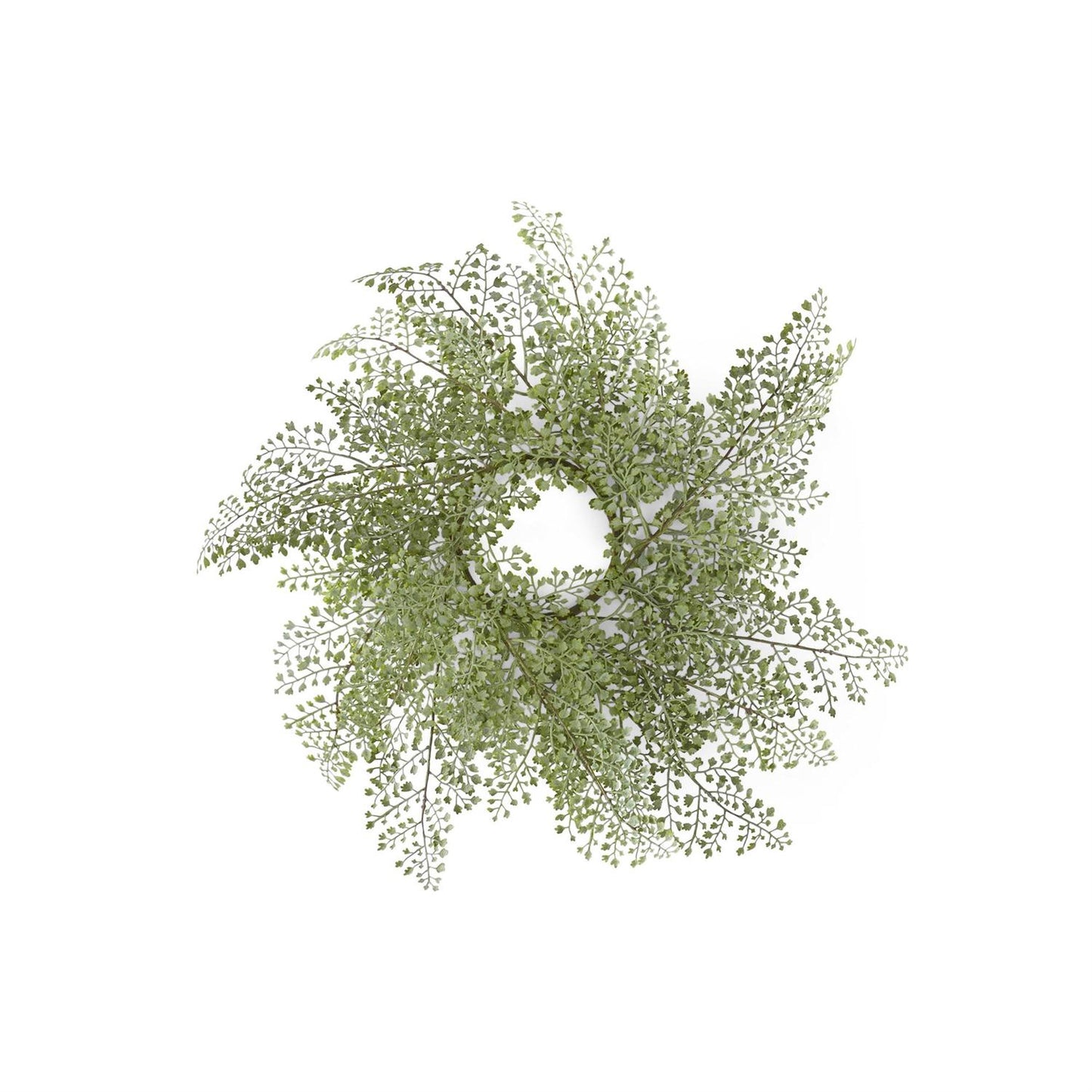 22" Real Touch Adiantum Wreath