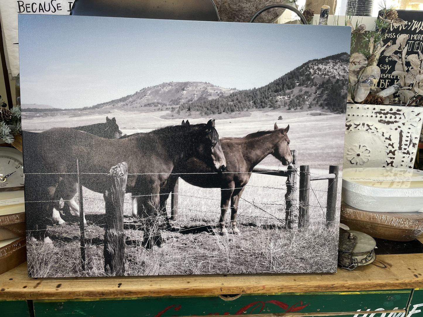 HM MNT Horse Black/White Canvas