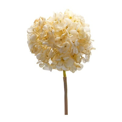 Hydrangea Stem 23"