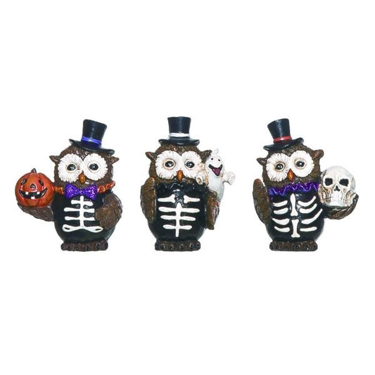 Res Costume Owl / Owl holding skull