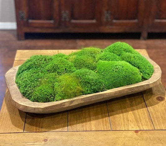 Small Bread Bowl Mossed