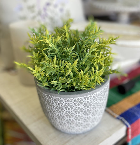 Bald Cypress Orb-10"