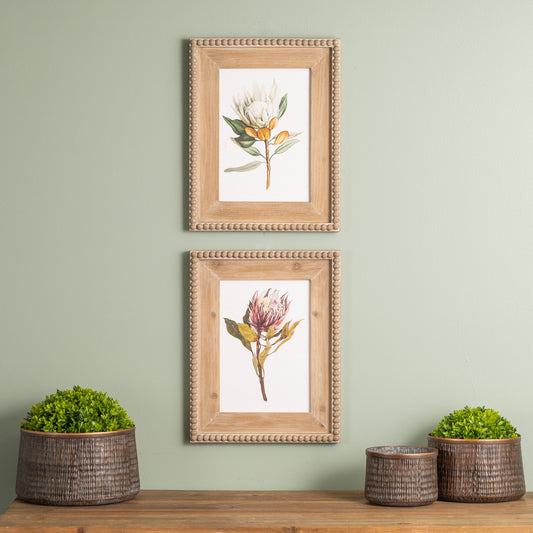 Protea Print  17H