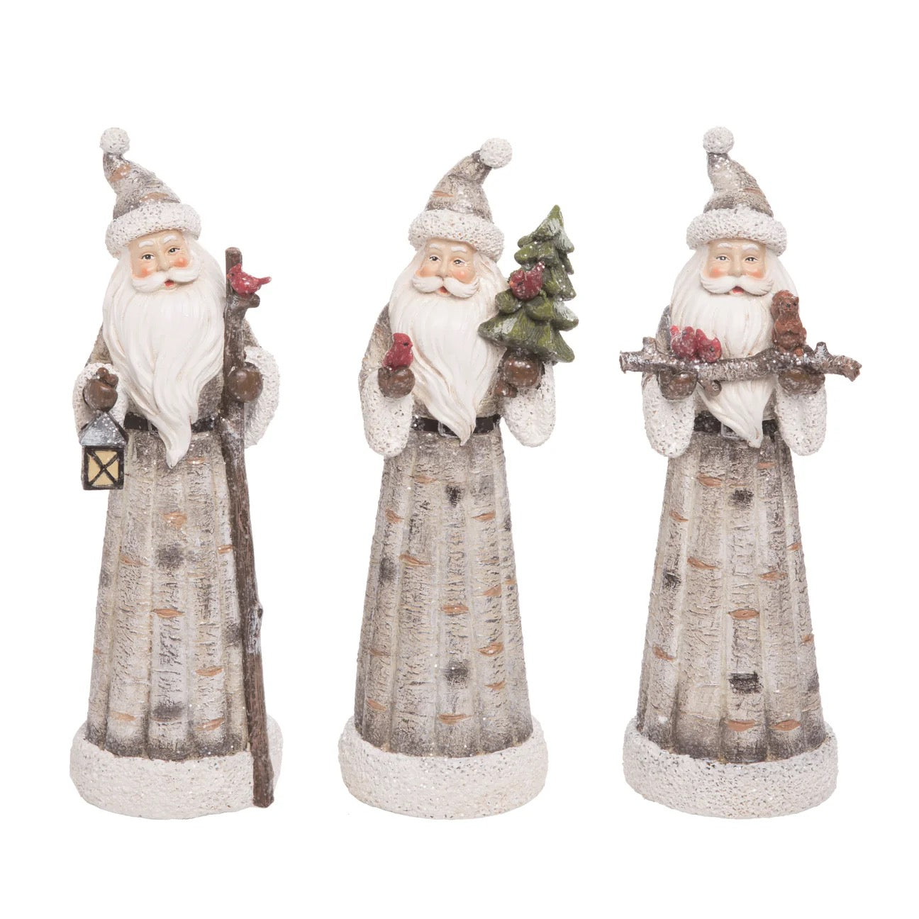 Res Birch Santa Fig / Tree