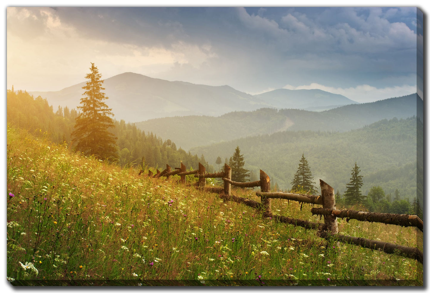 Carpathian Mountain Forest 22x28