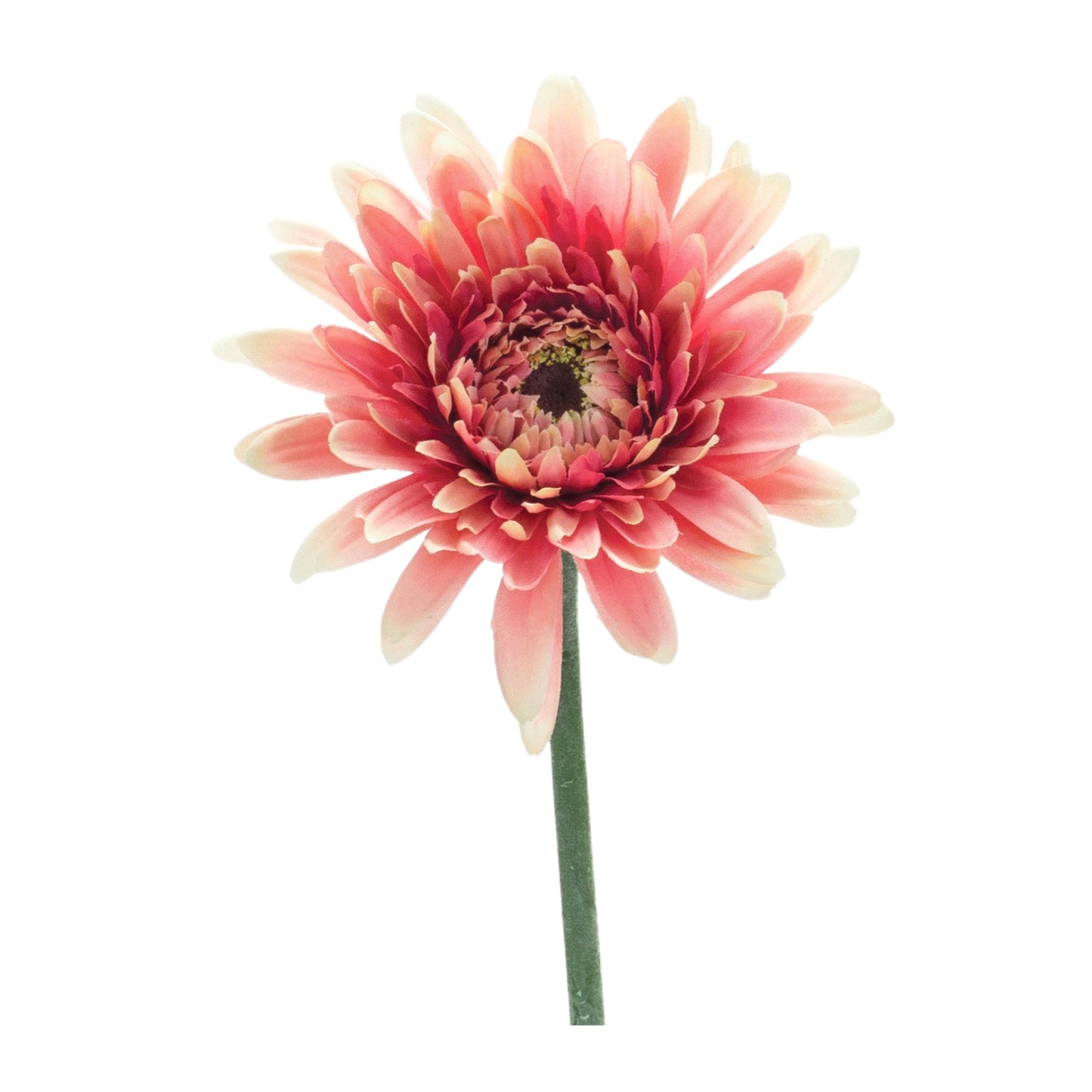 Gerbera Daisy Stem 22"