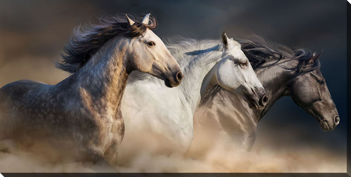 Gallop in the Dust 20x40