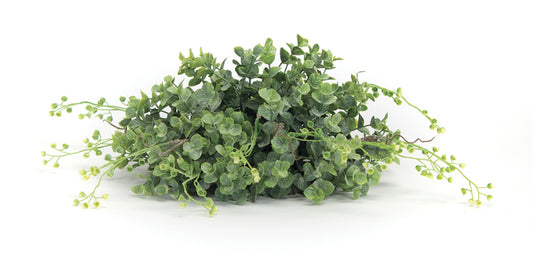 Boxwood Half Orb 10in