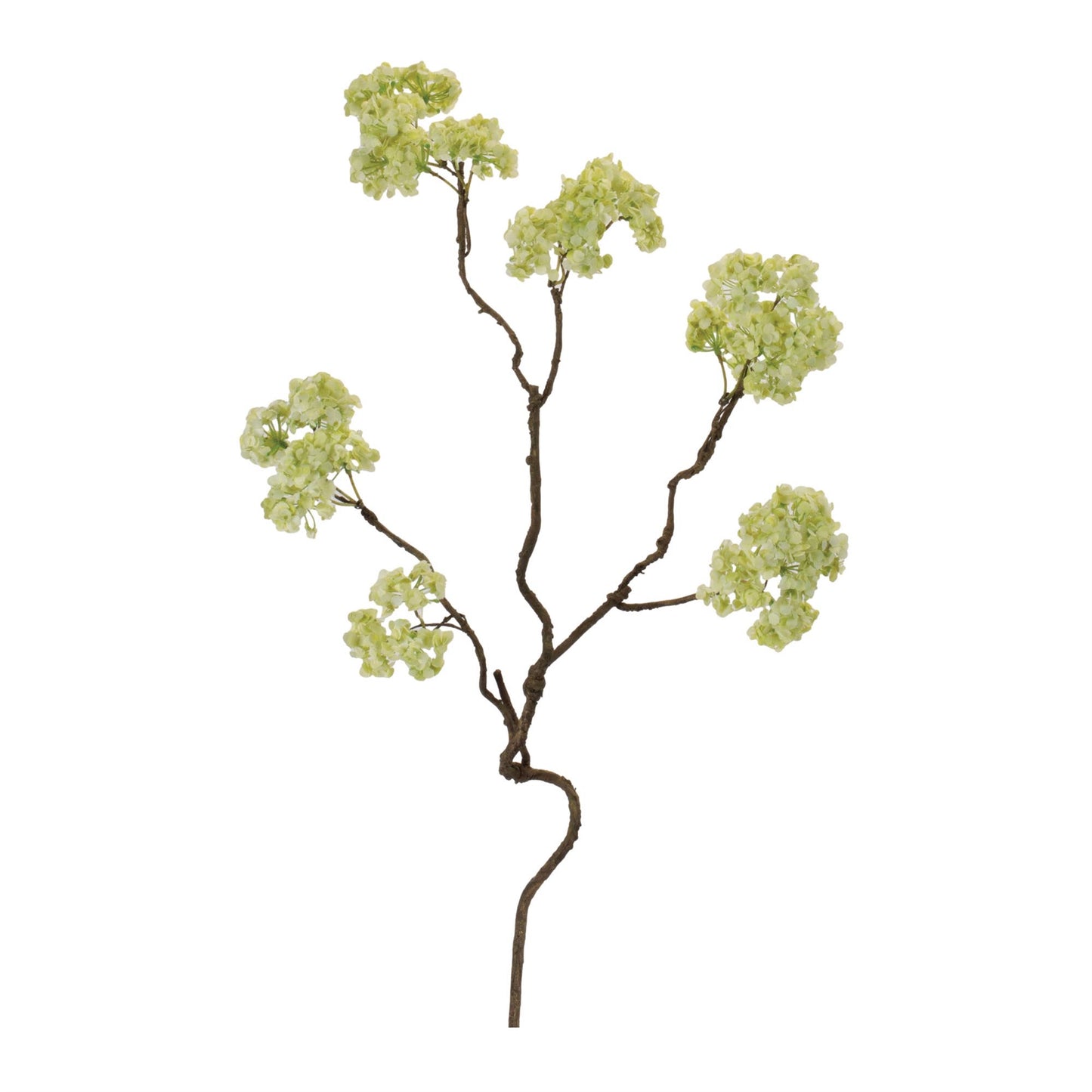 Floral Stem 27.5" Pol