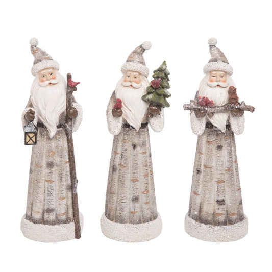 Res Birch Santa Fig / Lantern