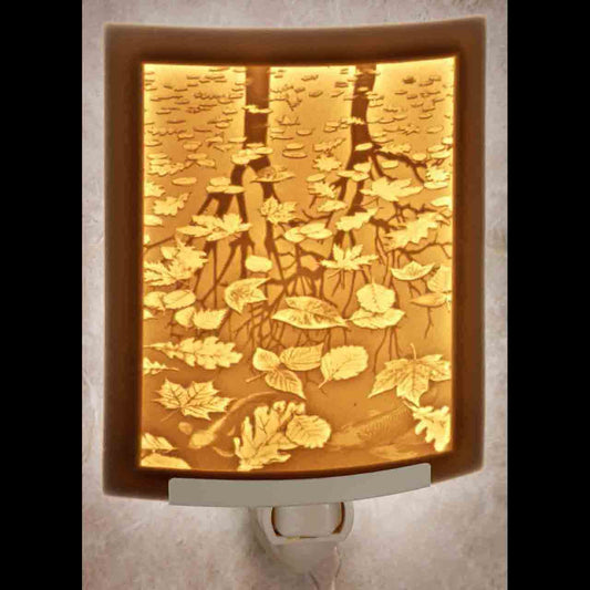Still Reflections Night Light