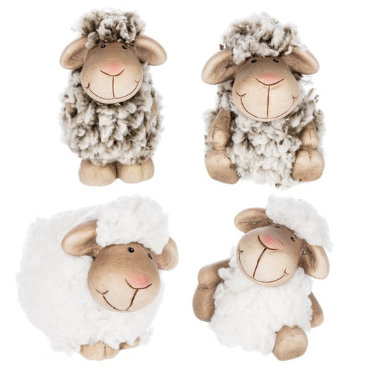 Sheep Fig GNZ