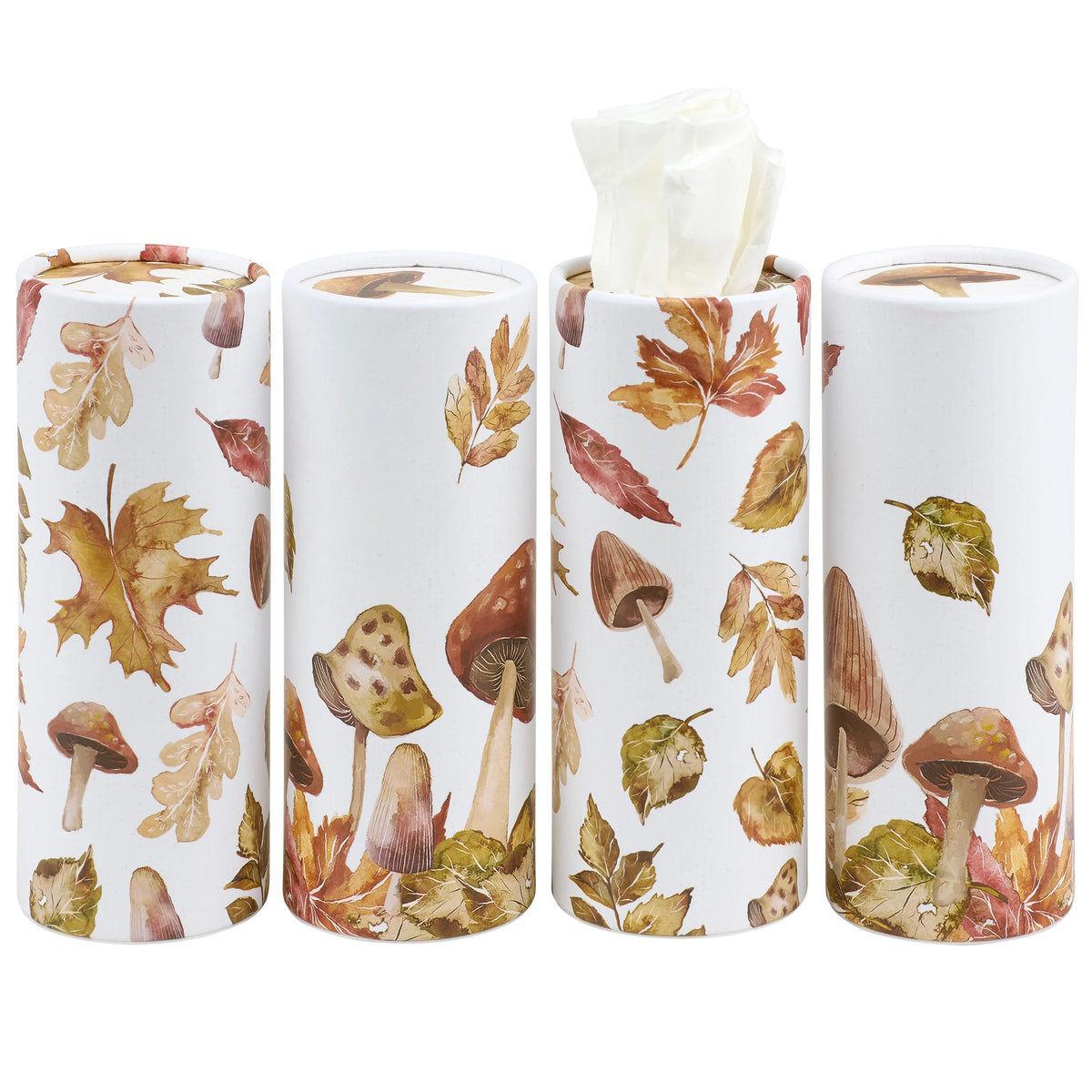 Tissue Box Set - Harvest