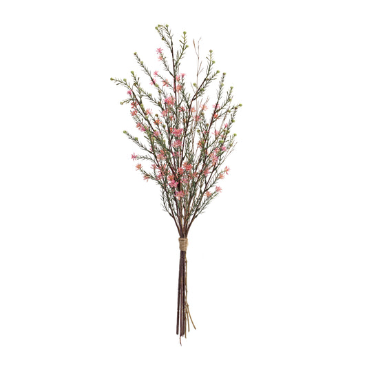 Leptospermum Bundle 26"
