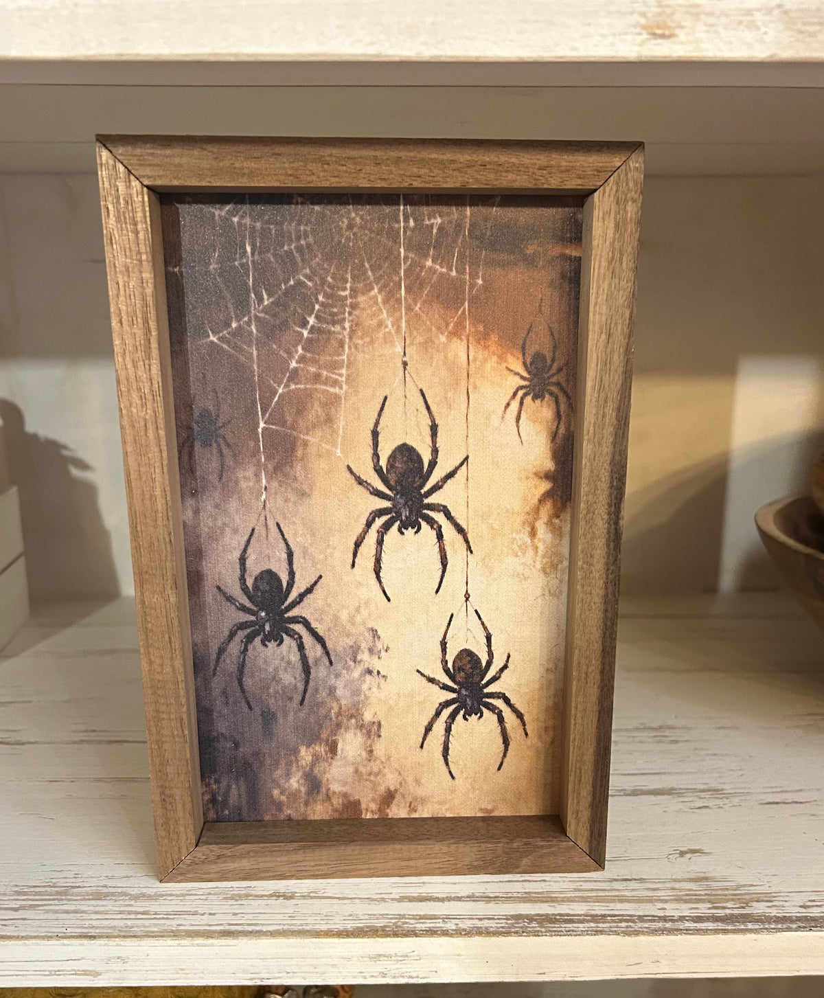 Spiders Brown 5x8